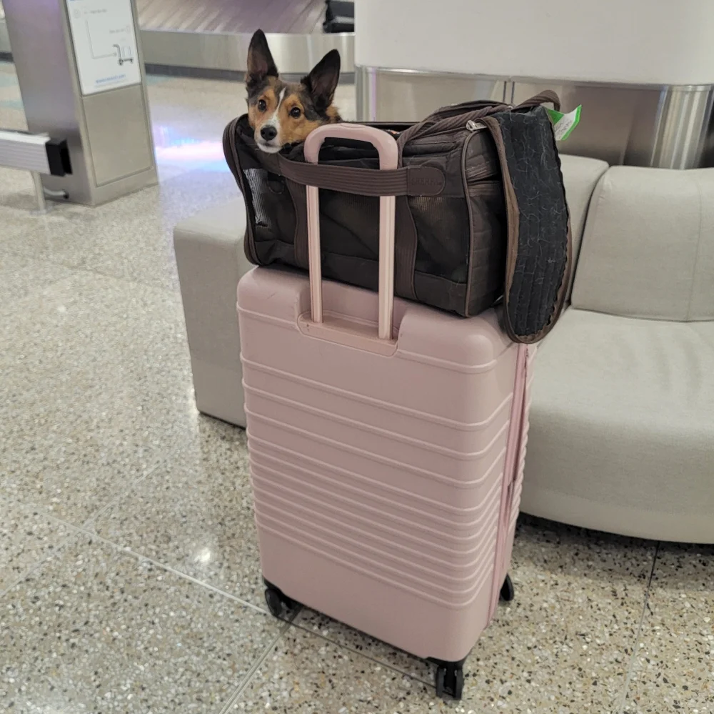 Sherpa Original Deluxe Travel Bag Pet Carrier- Medium